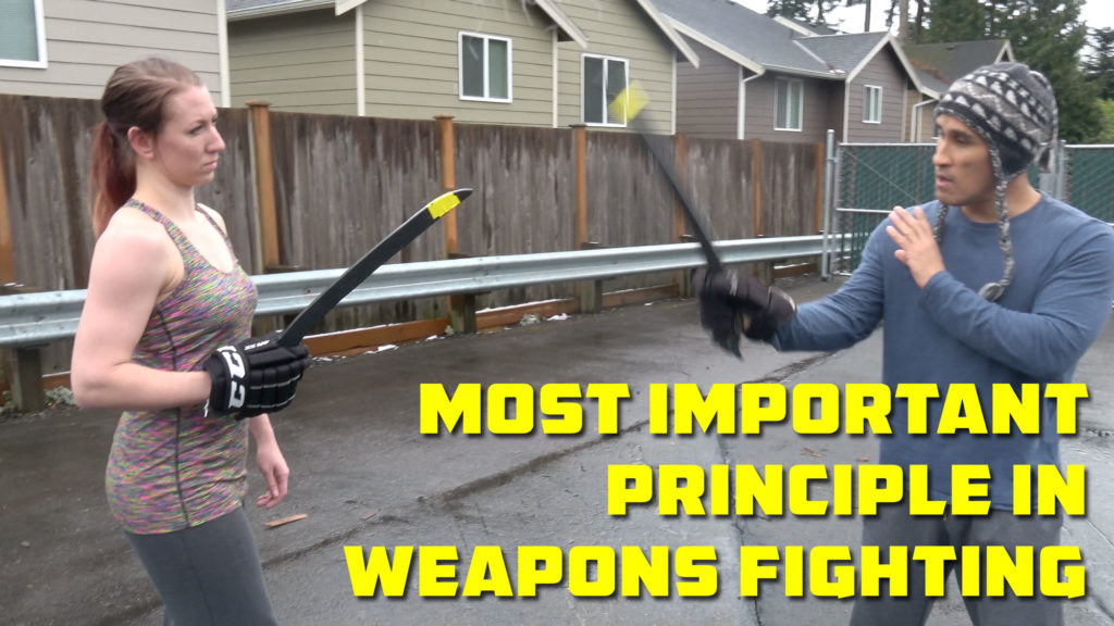 Defanging the Snake – a Critical Concept in the Filipino Martial Arts
