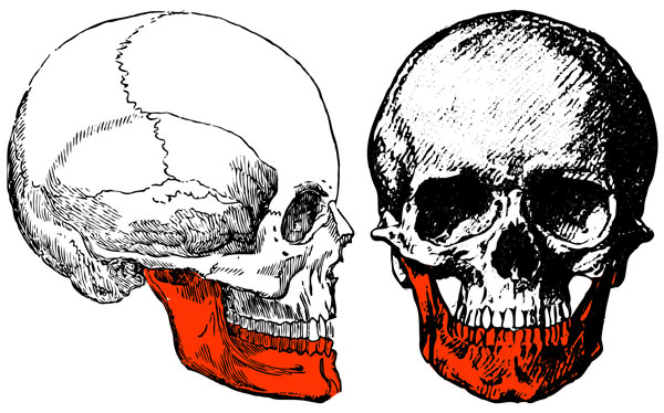 The jaw knockout point