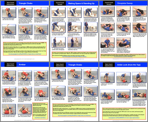 Sample pages from the Full Roadmap for BJJ Reference Book