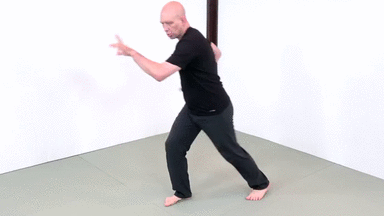 kung fu form and application - Tiger Claw